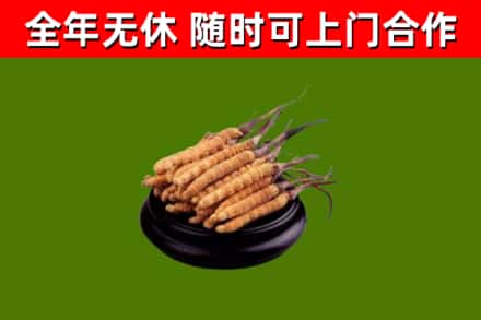 通河烟酒回收冬虫夏草.jpg